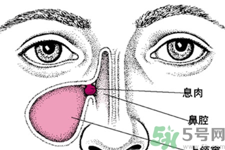 鼻子出血怎么辦？鼻子出血的原因是什么？