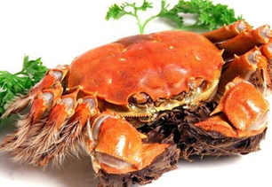螃蟹什么季節(jié)最好吃？螃蟹幾月份吃最好？