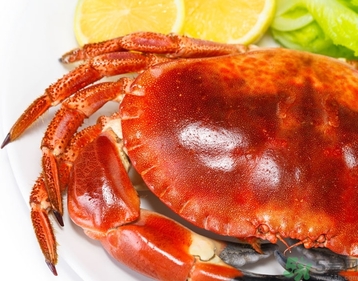 螃蟹可以帶上火車嗎？螃蟹可以帶上動(dòng)車嗎？