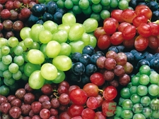 紫葡萄和綠葡萄哪個好?紫葡萄和青葡萄的區(qū)別