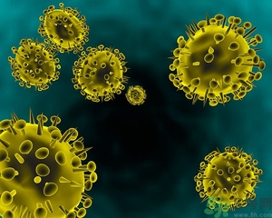 寨卡病毒會自己好嗎？寨卡病毒能自愈嗎？