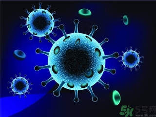 寨卡病毒會自己好嗎？寨卡病毒能自愈嗎？