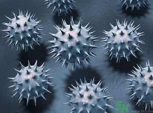 寨卡病毒蚊子如何預(yù)防？怎么預(yù)防寨卡病毒蚊子？