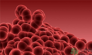 寨卡病毒會自己好嗎？寨卡病毒能自愈嗎？