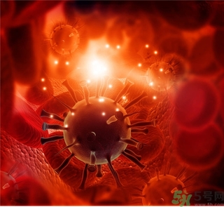 寨卡病毒會導(dǎo)致死亡嗎？寨卡病毒對人體的危害