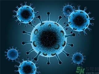 寨卡病毒會自己好嗎？寨卡病毒能自愈嗎？