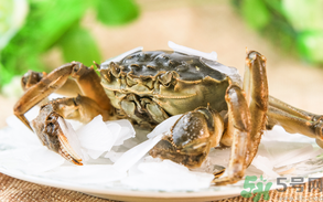 螃蟹什么時候上市？螃蟹上市時間