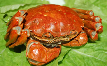 大閘蟹什么時(shí)候上市？大閘蟹幾月份上市？