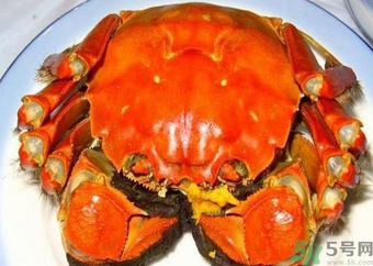 大閘蟹什么季節(jié)吃最好？吃大閘蟹的季節(jié)