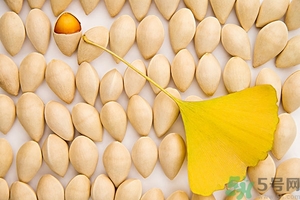 新鮮白果怎么處理?新鮮白果的食用方法 新鮮白果怎么處理?新鮮白果的食用方法