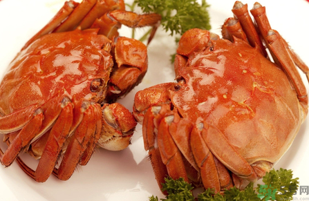 吃螃蟹中毒了怎么辦？吃螃蟹中毒了吃什么藥？