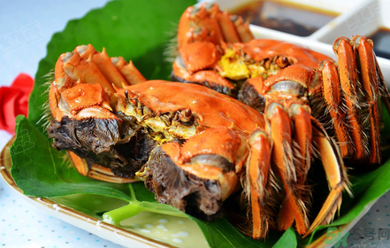 吃螃蟹中毒了怎么辦？吃螃蟹中毒了吃什么藥？