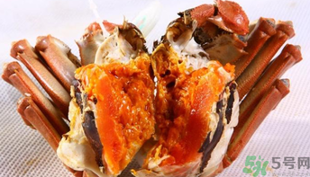 怎樣辨別陽澄湖大閘蟹？陽澄湖大閘蟹真假辨別