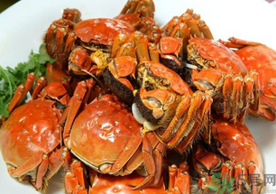怎樣辨別陽澄湖大閘蟹？陽澄湖大閘蟹真假辨別