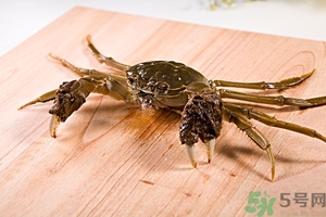 螃蟹怎么保存才新鮮？活螃蟹怎么保存過(guò)夜？