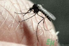 寨卡病毒的表現(xiàn)是什么？寨卡病毒的癥狀有哪些？