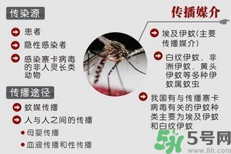 寨卡病毒會死人嗎？寨卡病毒會死嗎？