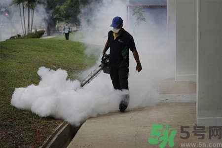 寨卡病毒會死人嗎？寨卡病毒會死嗎？