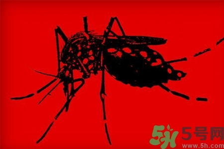 寨卡病毒會死人嗎？寨卡病毒會死嗎？