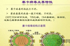 寨卡病毒可以治愈嗎？寨卡病毒如何治愈？