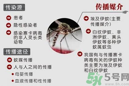 寨卡病毒可以治愈嗎？寨卡病毒如何治愈？