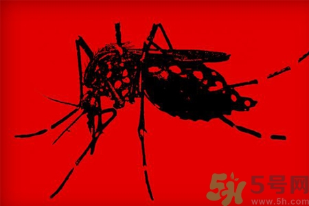 寨卡病毒對孕婦有危害嗎？寨卡病毒對孕婦的危害有哪些？