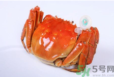 陽澄湖大閘蟹怎么做好吃？陽澄湖大閘蟹的做法