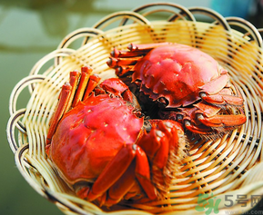 陽澄湖大閘哪個牌子好？陽澄湖大閘蟹哪個牌子是正宗的？