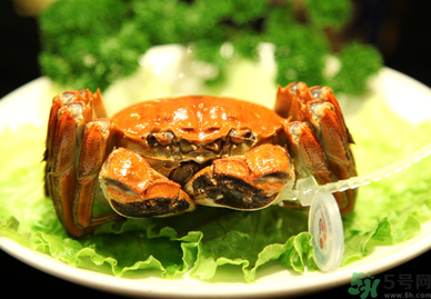 陽澄湖大閘哪個牌子好？陽澄湖大閘蟹哪個牌子是正宗的？