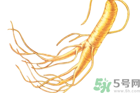 人參怎么吃效果最好？人參的做法大全