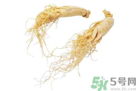 人參怎么吃效果最好？人參的做法大全