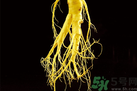 人參怎么吃效果最好？人參的做法大全