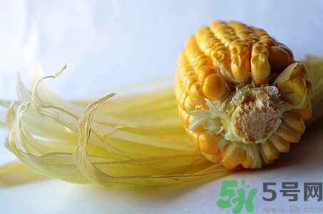 蘋果和玉米一起煲湯嗎?蘋果和玉米一起煲湯好嗎 蘋果和玉米一起煲湯嗎?蘋果和玉米一起煲湯好嗎