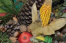 蘋果和玉米一起煲湯嗎?蘋果和玉米一起煲湯好嗎 蘋果和玉米一起煲湯嗎?蘋果和玉米一起煲湯好嗎