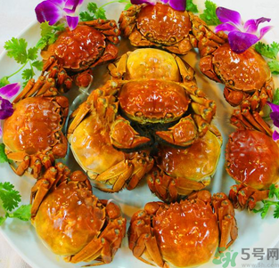 梁子湖大閘蟹什么時候上市？梁子湖大閘蟹上市時間