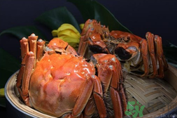 大閘蟹怎么蒸？大閘蟹怎么蒸才好吃？