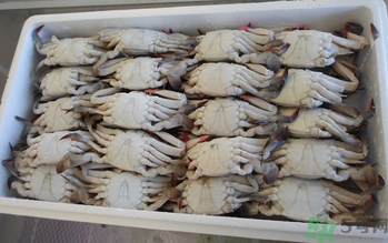 大閘蟹可以放幾天？大閘蟹可以冷凍嗎?