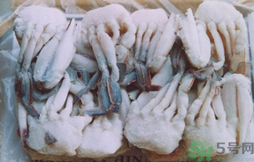 大閘蟹可以放幾天？大閘蟹可以冷凍嗎?