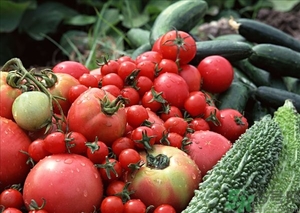 苦瓜汁可以敷臉嗎？苦瓜汁敷臉可以祛痘嗎