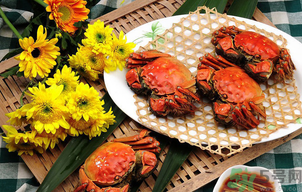 陽澄湖大閘蟹怎么做好吃？陽澄湖大閘蟹的做法