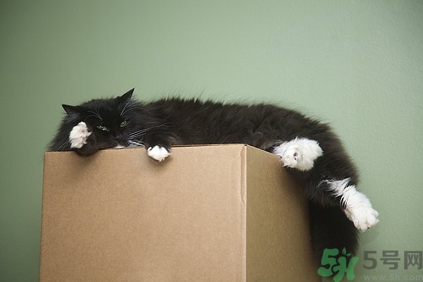 懶有什么壞處？懶有什么好處？