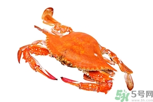 懷孕期間能吃螃蟹嗎？吃螃蟹會影響懷孕嗎？
