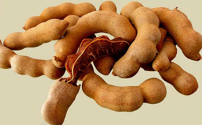 亞參果孕婦能吃嗎？孕婦吃亞參果有什么好處？