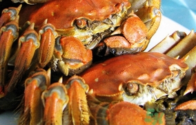 大閘蟹公的好還是母的好?大閘蟹公的好吃還是母的好吃? 大閘蟹公的好還是母的好?大閘蟹公的好吃還是母的好吃?