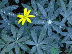 白露穿什么衣服?白露要注意什么? 白露穿什么衣服?白露要注意什么?