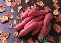 蘋果和紅薯可以一起吃嗎?蘋果和紅薯一起吃好嗎 蘋果和紅薯可以一起吃嗎?蘋果和紅薯一起吃好嗎