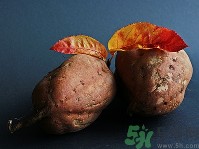 蘋果和紅薯可以一起吃嗎?蘋果和紅薯一起吃好嗎 蘋果和紅薯可以一起吃嗎?蘋果和紅薯一起吃好嗎