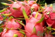 火龍果和牛奶可以一起吃嗎？火龍果的食用禁忌