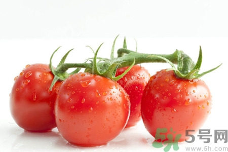 番茄和西紅柿有什么區(qū)別？番茄和西紅柿一樣嗎？