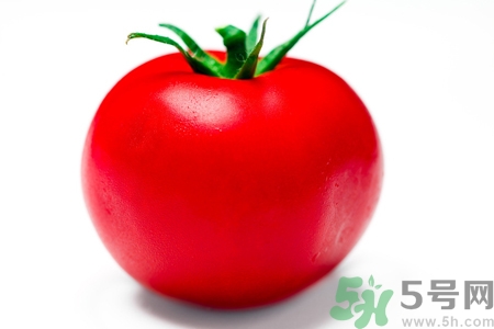 番茄和西紅柿有什么區(qū)別？番茄和西紅柿一樣嗎？